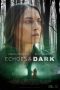 echoes-in-the-dark-2024