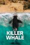killer-whale-2026